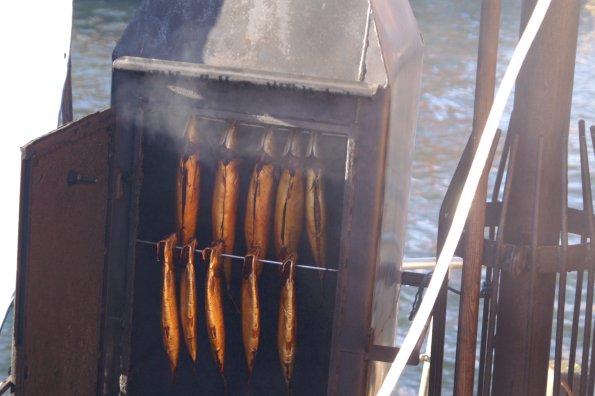 KONICA MINOLTA DIGITAL CAMERA