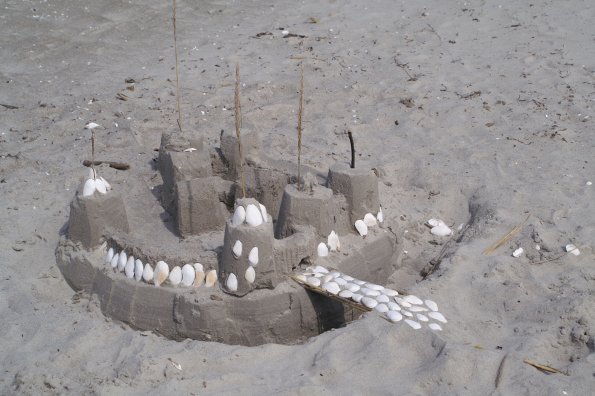 KONICA MINOLTA DIGITAL CAMERA