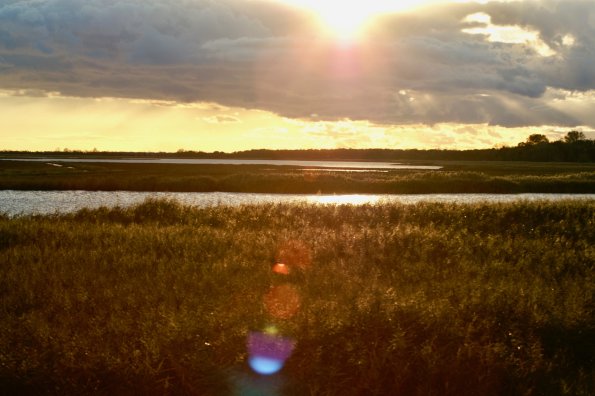 KONICA MINOLTA DIGITAL CAMERA