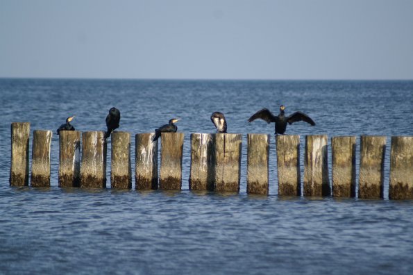 KONICA MINOLTA DIGITAL CAMERA