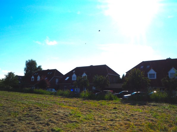 OLYMPUS DIGITAL CAMERA